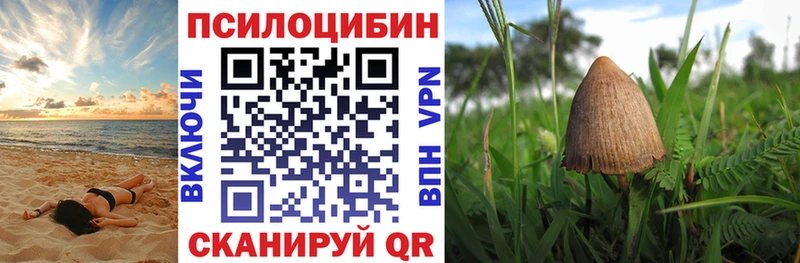 Псилоцибиновые грибы Magic Shrooms магазин продажи наркотиков Рязань